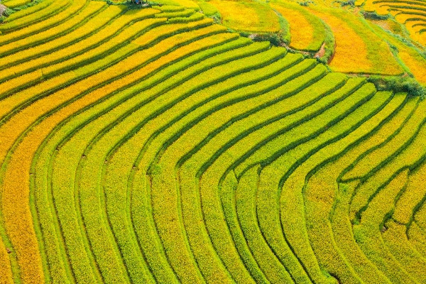7D6N Hagiang - Du Gia - Meo Vac - Cao Bang - Ban Gioc Waterfall Tour - photo 65